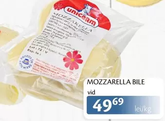 MOZZARELLA BILE