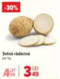 Țelină rădăcină