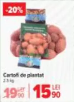 Cartofi de plantat