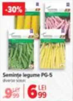Semințe legume PG-5