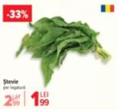 Ștevie per legătură