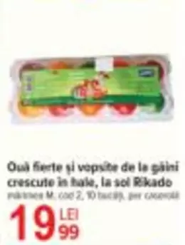 Ouă fierte și vopsite de la găini crescute în hale, la sol