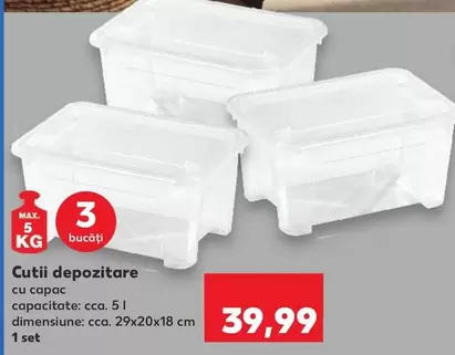 Cutii depozitare cu capac