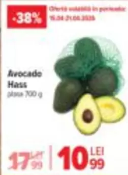 Avocado Hass