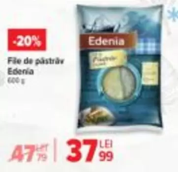 File de păstrăv
