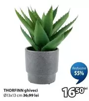 THORFINN ghiveci