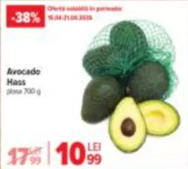 Avocado Hass