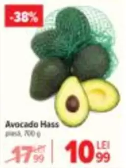 Avocado Hass