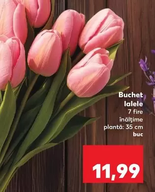 Buchet lalele