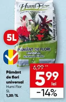 Pământ de flori universal