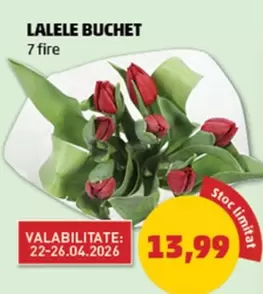 LALELE BUCHET