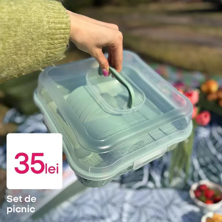 Set de picnic
