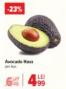 Avocado Hass