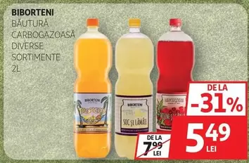BIBORTENI BAUTURA CARBOGAZOASĂ DIVERSE SORTIMENTE