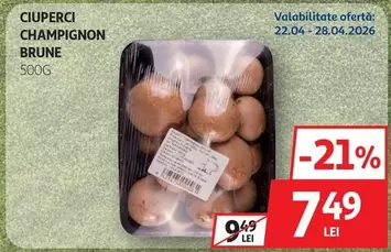 CIUPERCI CHAMPIGNON BRUNE