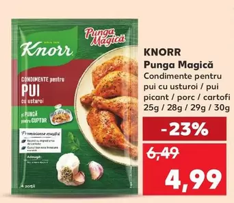 Condimente pentru pui cu usturoi / pui picant / porc / cartofi