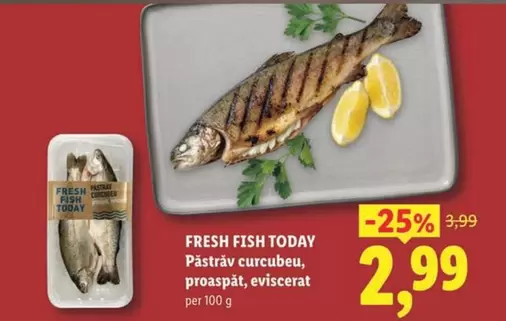 Păstrăv curcubeu, proaspăt, eviscerat