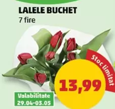 LALELE BUCHET