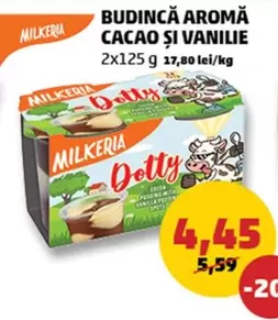 Budincă aromă Cacao și Vanilie