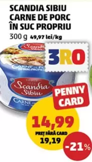 CARNE DE PORC ÎN SUC PROPRIU