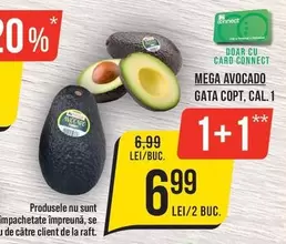 MEGA AVOCADO