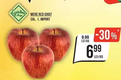 MERE RED CHIEF