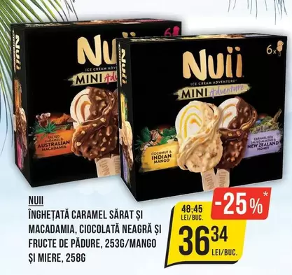 Înghețată Caramel Sărat și Macadamia, Ciocolată Neagră și Fructe de Pădure