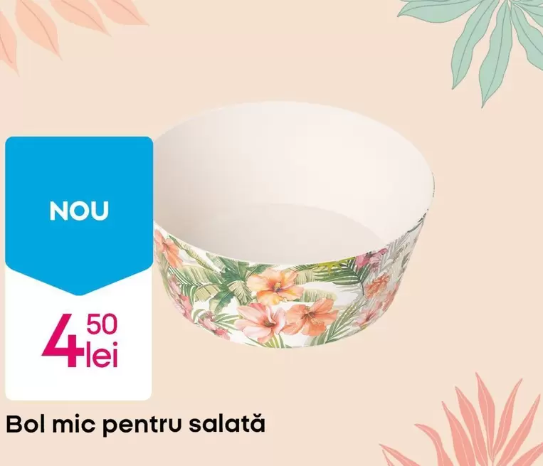 Bol mic pentru salată