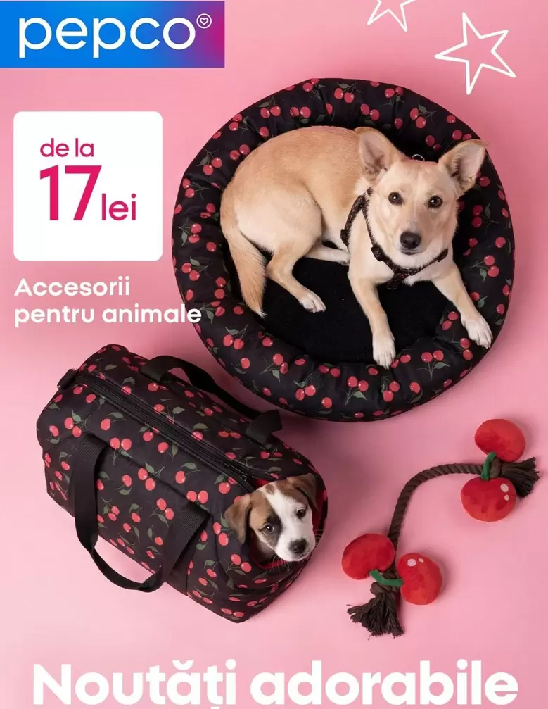 Accesorii pentru animale
