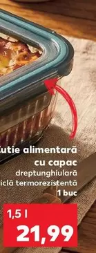Cutie alimentara dreptunghiulara