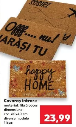Covoraș intrare