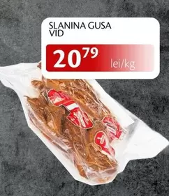 SLANINA GUSA VID