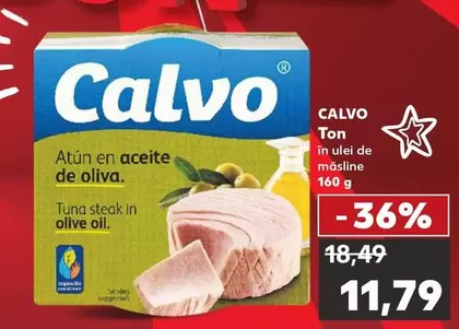 Ton in olive oil