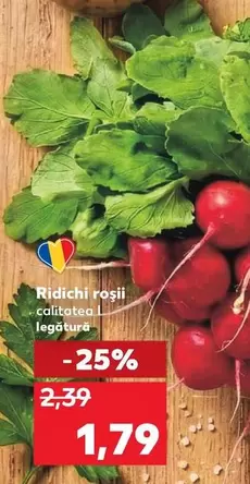 Ridichi rosii