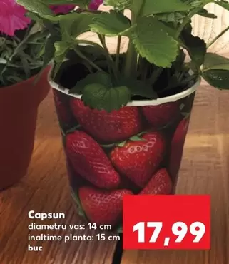 Capsun
