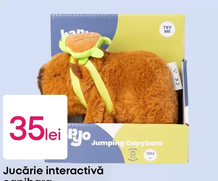 Jo - Jumping Capybara