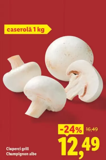 Ciuperci grill Champignon albe