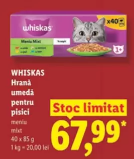 Hrană umedă pentru pisici