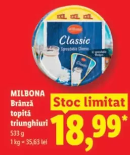 Brânză topită triunghiuri
