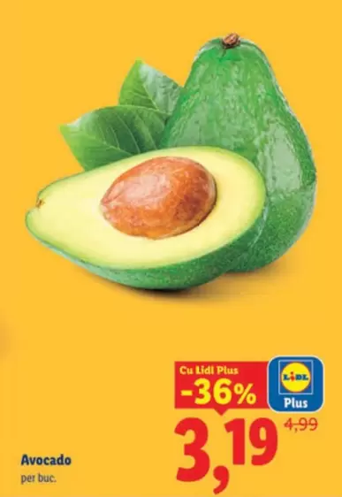 Avocado