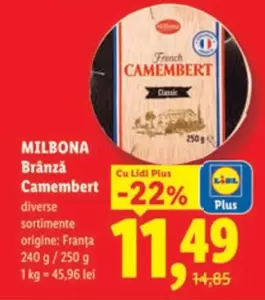 Brânză Camembert