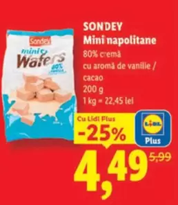 Mini Wafers