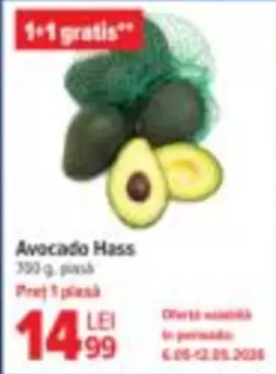 Avocado Hass