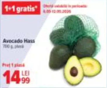 Avocado Hass