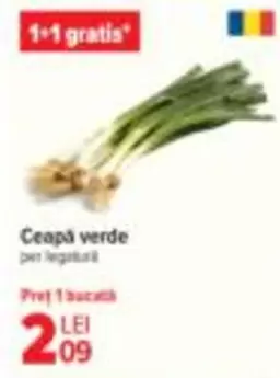 Ceapă verde