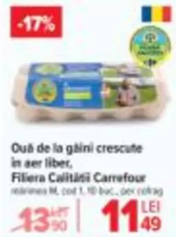 Ouă de la găini crescute în aer liber