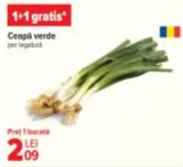 Ceapă verde