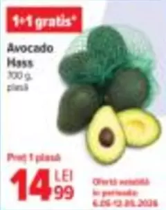 Avocado Hass