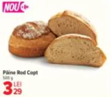 P	a	a Rod Copt