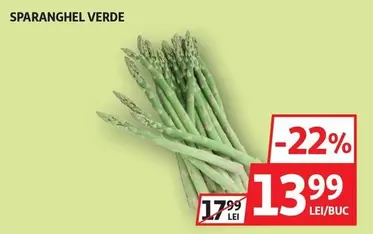 SPARANGHEL VERDE